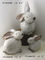 Небольшой декоративный сад кролика орнаментирует животных для дома/двора поставщик